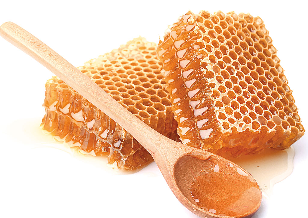 Honig und Imkereiprodukte